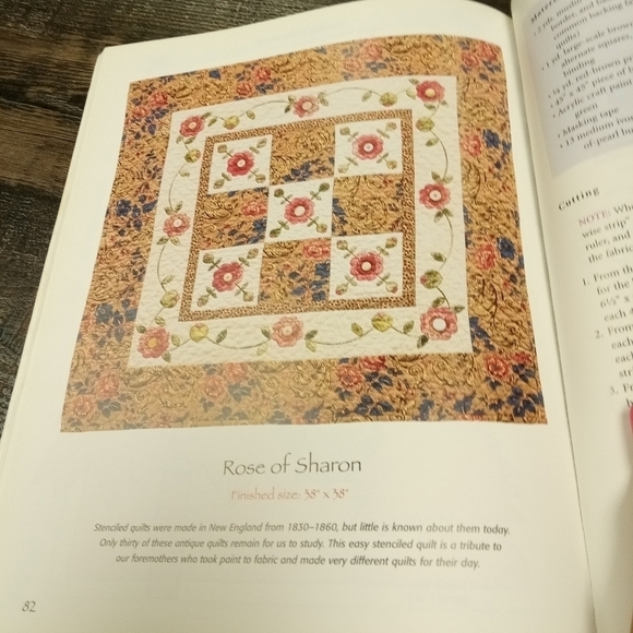 Fast & Fun Stenciled Quilts by Vicki Garnas Quilting - Picture 4 of 5